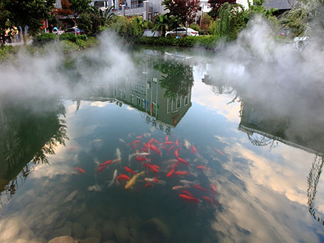 云南弥勒丽景酒店音乐喷泉及高压冷雾