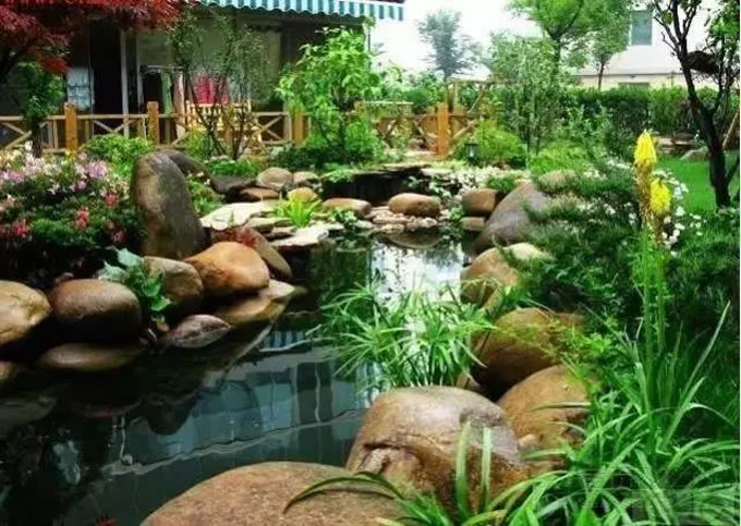水景植物配置大全—水景工程中植物搭配技
